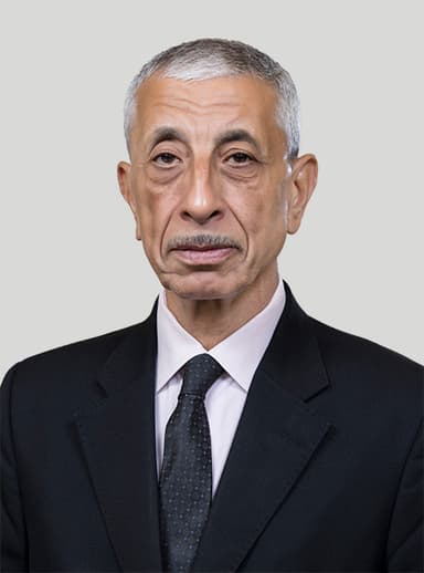 أ.د. محمد حفني