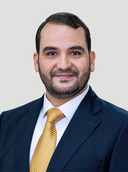 د. محمد السيد