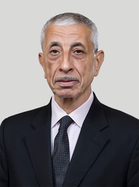 أ.د. محمد حفني