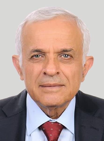 أ.د. رضوان السيد