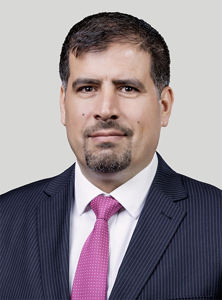 أ.د محمد الحوامدة